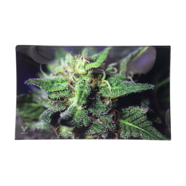 Vsyndicate Survivor Glass Rollin' Trays / Medium / Blue Dream